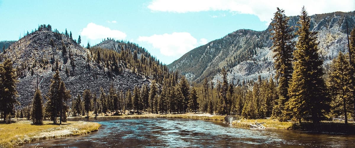 Yellowstone National Park